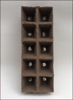 10 Cell Seed Tray